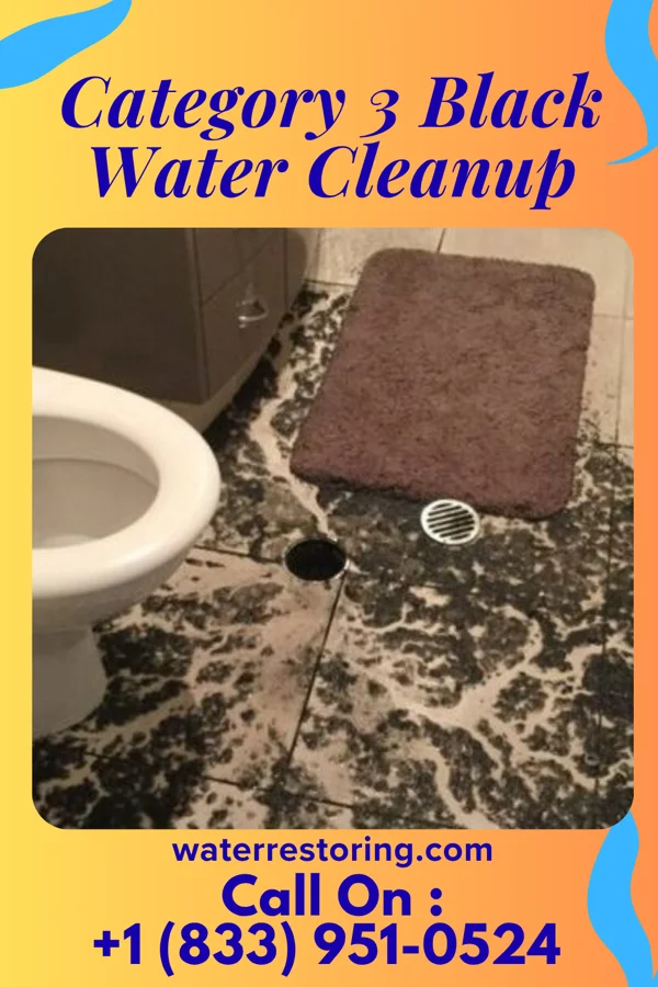 Category 3 Black Water Cleanup in Stanley, WI