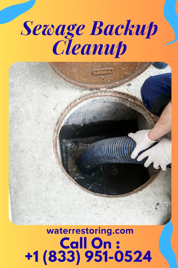 Sewage Backup Cleanup in Stanley, WI